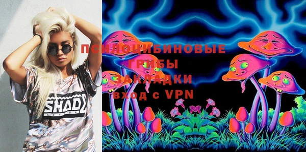 PSILOCYBIN Белая Холуница