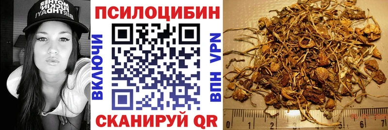 Галлюциногенные грибы Cubensis закладка Горячий Ключ