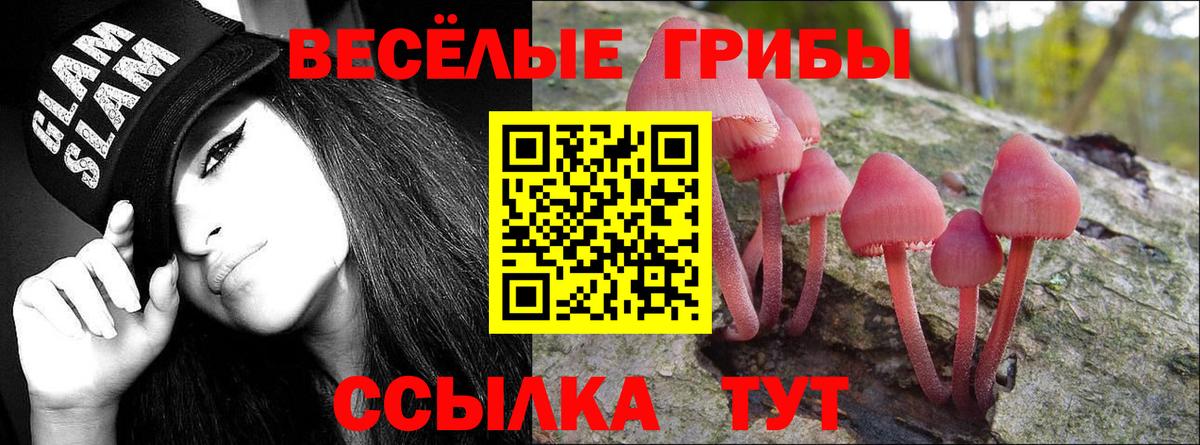 Псилоцибиновые грибы мицелий Горячий Ключ