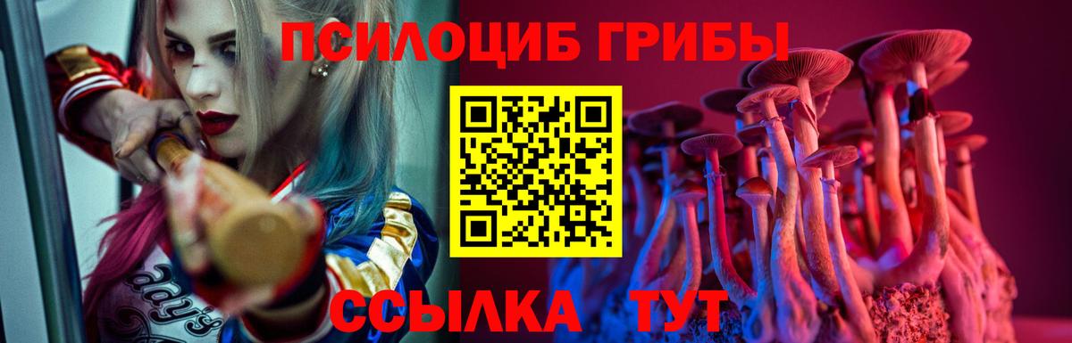 Псилоцибиновые грибы GOLDEN TEACHER  Вход с VPN  Горячий Ключ  Галлюциногенные грибы Cubensis 